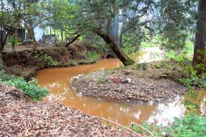 riverside villas nanyuki