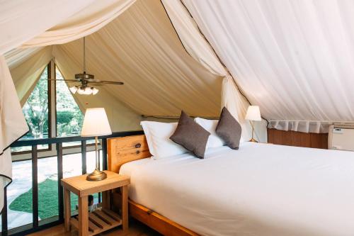 wonder mountain resort