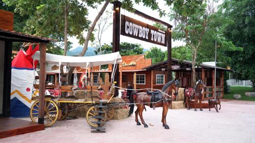 wonder mountain resort