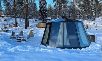 invisible forest lodge