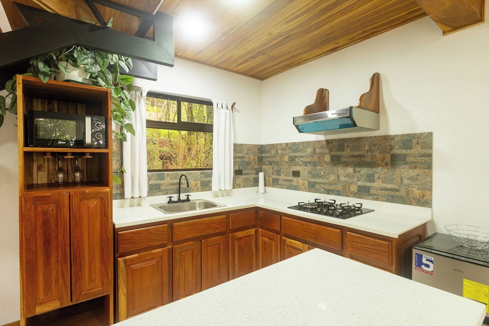 casas clusia monteverde