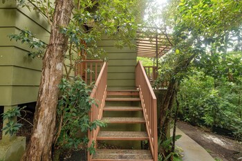 casas clusia monteverde