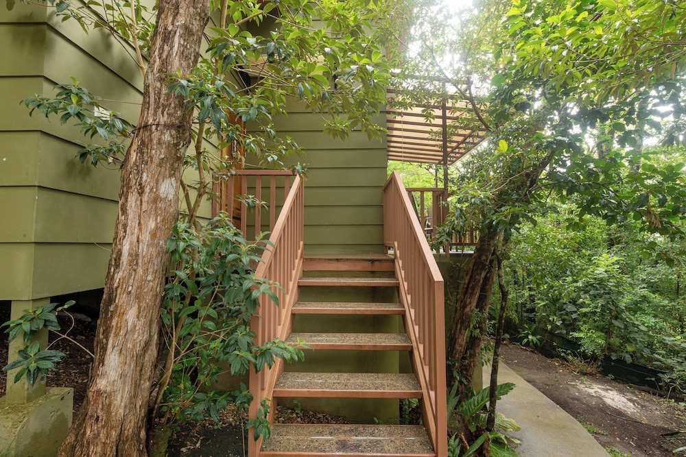 casas clusia monteverde