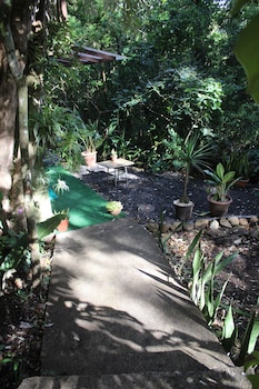 casas clusia monteverde