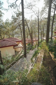 tapovan resorts