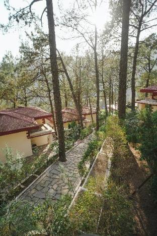 tapovan resorts