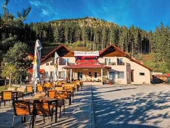 complex caprioara toplita