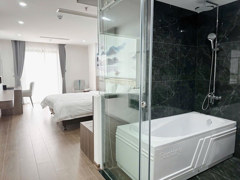 luxury phoenix hotel 2