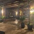 vincent resort hotel