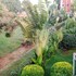 antananarivo