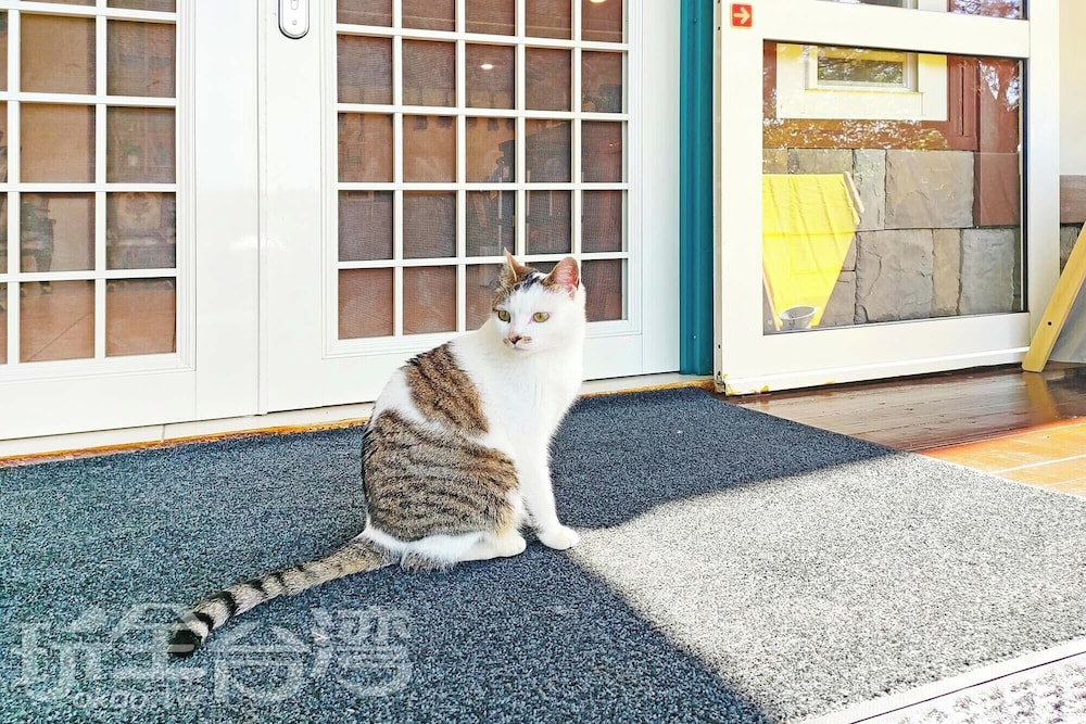 baili manor cing jing