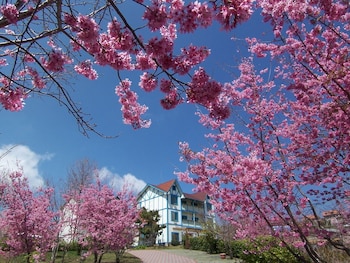 baili manor cing jing