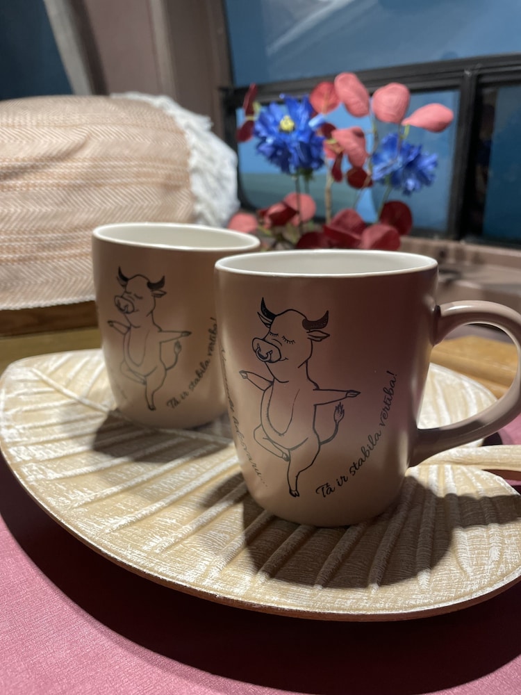 urban van glamping riga