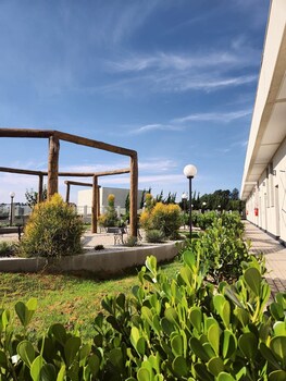aruja