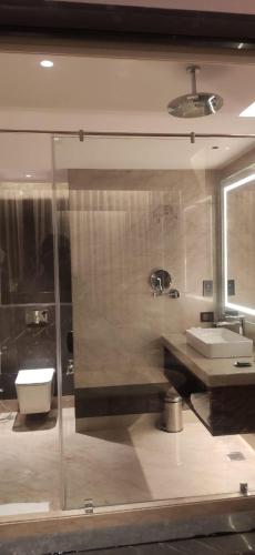 grand mirage dhanbad a member of radisson individuals