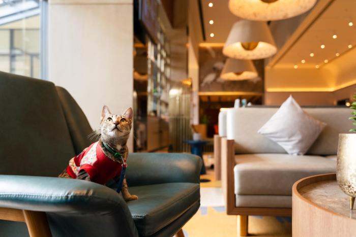 ibis styles mysuru