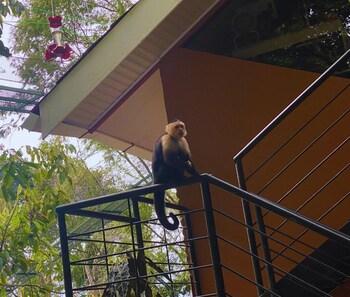 mountain top park hotel