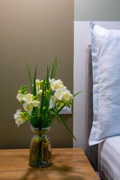 the house hotel yerevan