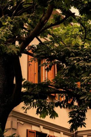 faces and places boutique hotel