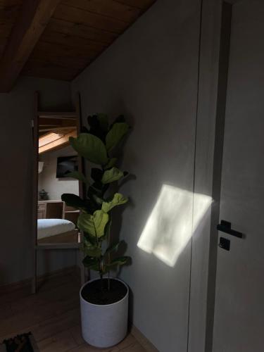 faces and places boutique hotel