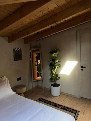 faces and places boutique hotel