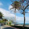 golden rose hotel