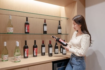 aank hotel cheongju
