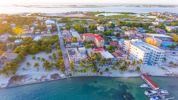 tropical palace hotel