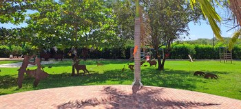 hotel morua