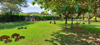 hotel morua