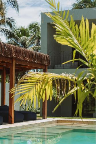 trairi