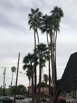 desert lodge