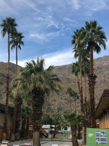 palm springs