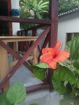 hotel talu tayrona