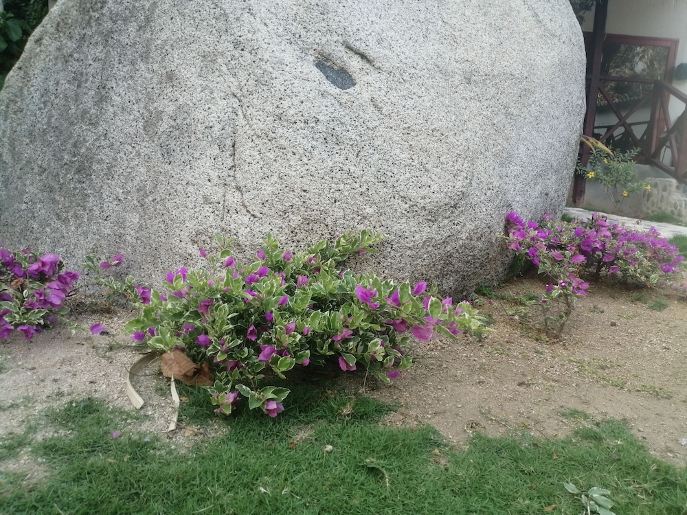 hotel talu tayrona