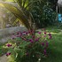 hotel talu tayrona