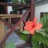 hotel talu tayrona