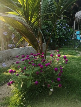 hotel talu tayrona