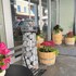 lysekil