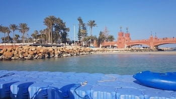 alexandria