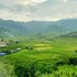 mu cang chai