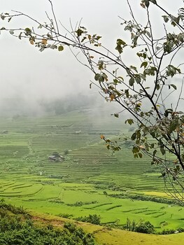 mu cang chai