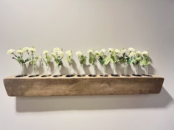 hotel puerta roja reforma