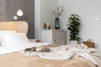 boutique hotel rabbit hole