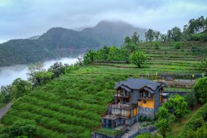 ama stays and trails kashi house rishikesh
