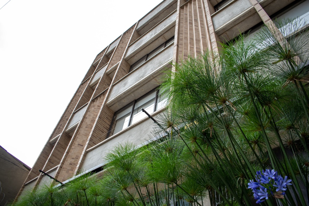 cadena hotelera rey es