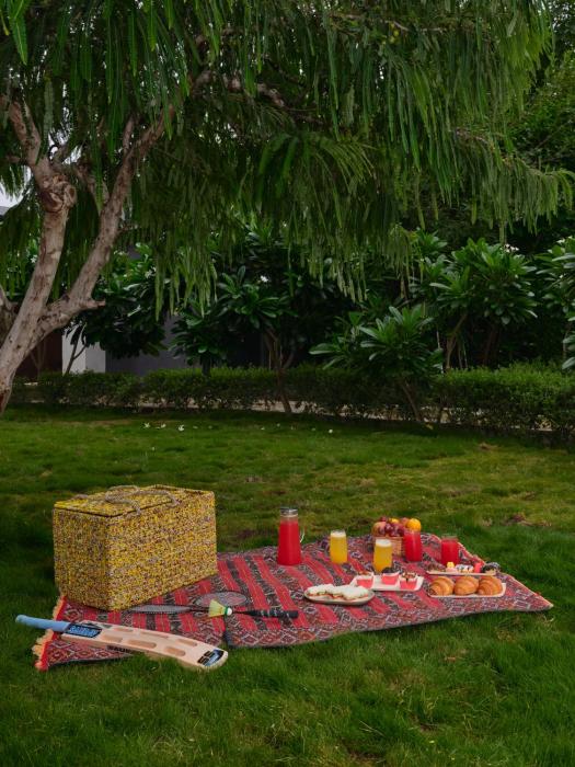 ama stays and trails nilaya amaltaas villa udaipur