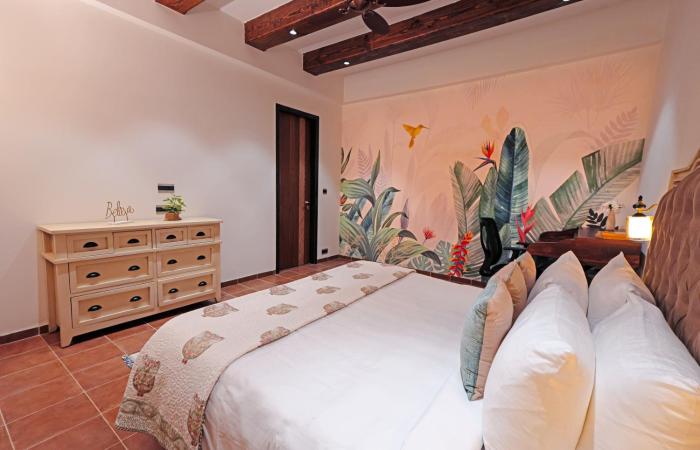 ama stays and trails nilaya amaltaas villa udaipur