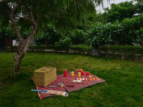 ama stays and trails nilaya amaltaas villa udaipur