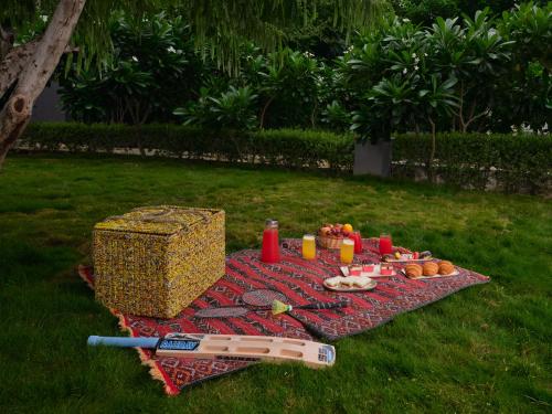 ama stays and trails nilaya amaltaas villa udaipur